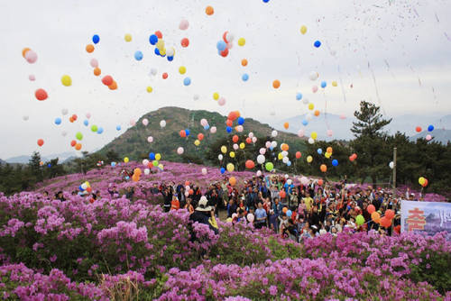 장흥 제암산 철쭉제